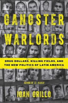 Gangster Warlords: Drug Dollars, Killing Fields, and the New Politics of Latin America Read online
