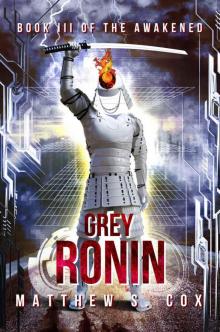 Grey Ronin (The Awakened Book 3) Read online