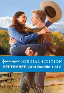 Harlequin Special Edition September 2014 - Bundle 1 of 2: Maverick for HireA Match Made by BabyOnce Upon a Bride Read online