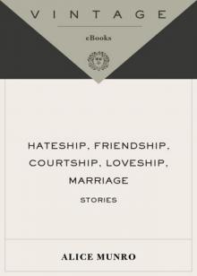 Hateship, Friendship, Courtship, Loveship, Marriage Read online