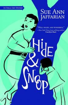 Hide and Snoop (The Odelia Grey Mysteries) Read online