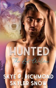 Hunted: An MM Shifter Romance (The Lost Wolves Book 2) Read online