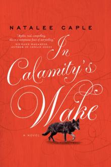 In Calamity's Wake Read online