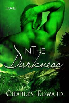 In the Darkness Read online