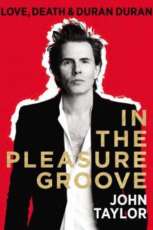 In the Pleasure Groove: Love, Death, and Duran Duran Read online