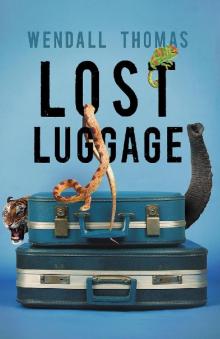 Lost Luggage Read online