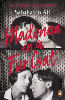 Madonna in a Fur Coat Read online