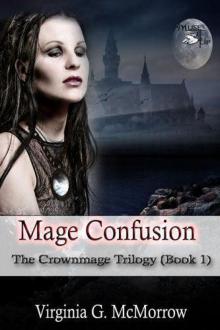 Mage Confusion (Book 1) Read online