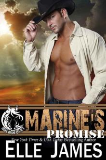 Marine's Promise (Iron Horse Legacy Book 3) Read online