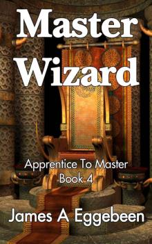 Master Wizard (Book 4) Read online