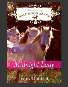 Midnight Lady Read online