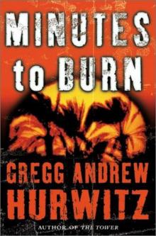 Minutes to Burn Read online