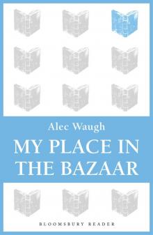 My Place in the Bazaar Read online
