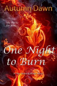 One Night to Burn (Fire, Stone and Water) Read online