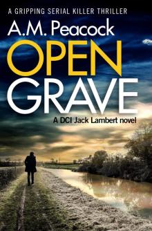 Open Grave Read online