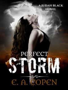 Perfect Storm_Judah Black Novels Read online