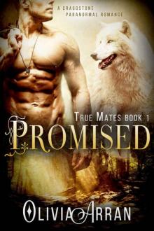 Promised: True Mates Book 1 (BBW Paranormal Wolf Shifter Romance) (A Craggstone Paranormal Romance) Read online
