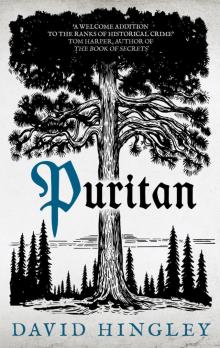 Puritan Read online
