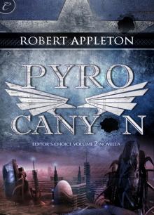 Pyro Canyon Read online