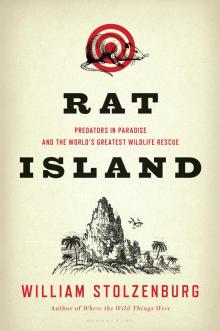 Rat Island Read online