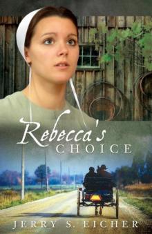 Rebecca's Choice (The Adams County Trilogy 3) Read online