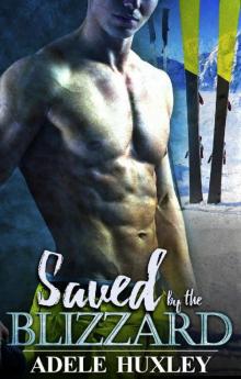 Saved by the Blizzard: A romantic winter thriller (Tellure Hollow Book 2)