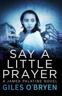 Say A Little Prayer (A James Palatine Novel Book 2) Read online