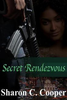 Secret Rendezvous Read online