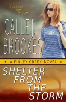 Shelter from the Storm (Finley Creek Book 2) Read online