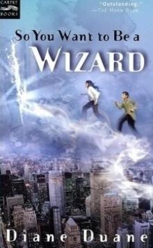 So You Want To Be A Wizard yw-1 Read online