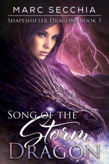Song of the Storm Dragon Read online
