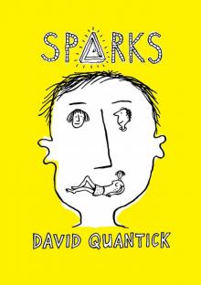 Sparks Read online