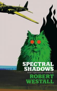 Spectral Shadows Read online