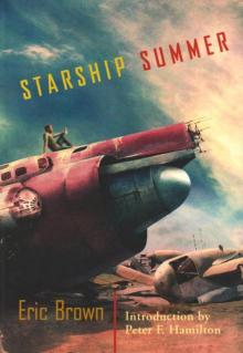 Starship Summer ss-1 Read online