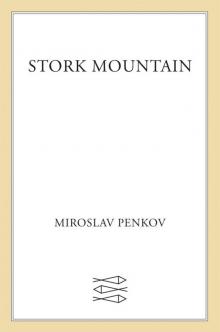 Stork Mountain Read online