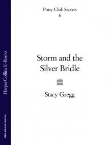Storm and the Silver Bridle Read online
