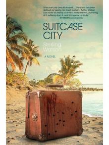 Suitcase City