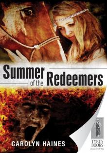 Summer of the Redeemers Read online