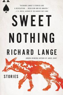 Sweet Nothing Read online