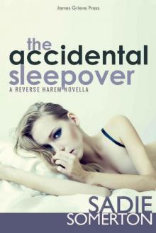 The Accidental Sleepover_A Reverse Harem Novella Read online
