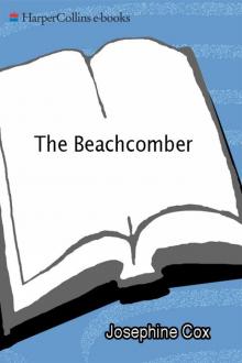 The Beachcomber Read online