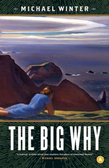 The Big Why Read online