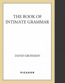 The Book of Intimate Grammar Read online