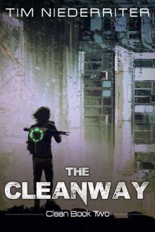 The Cleanway Read online