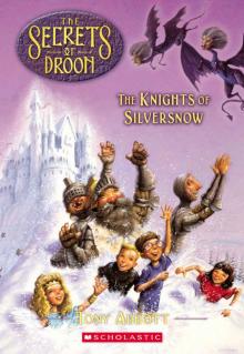 The Knights of Silversnow (The Secrets of Droon #16)