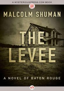 The Levee: A Novel of Baton Rouge Read online
