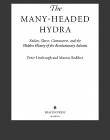 The Many-Headed Hydra