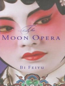 The Moon Opera Read online