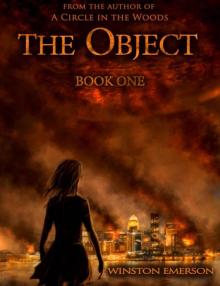 The Object: Book One (Object Series)