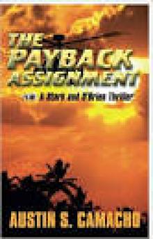 The Payback Assignment (Stark and O'Brien Thriller Series) Read online